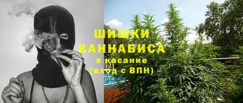 Бошки марихуана THC 21%  ссылка на мегу ссылка  Жердевка 